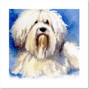 Coton de Tulear Watercolor - Dog Lovers Posters and Art